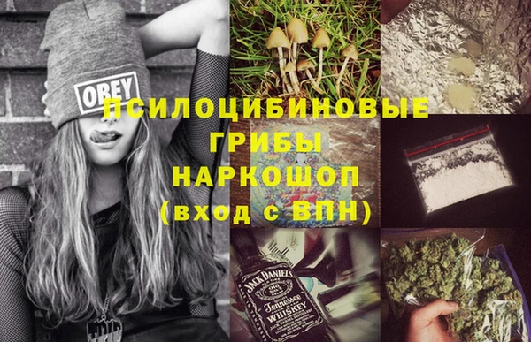 скорость Алзамай