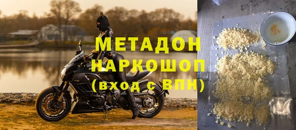 прущие грибы Надым