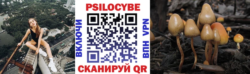 Псилоцибиновые грибы мицелий  наркота  Электрогорск 