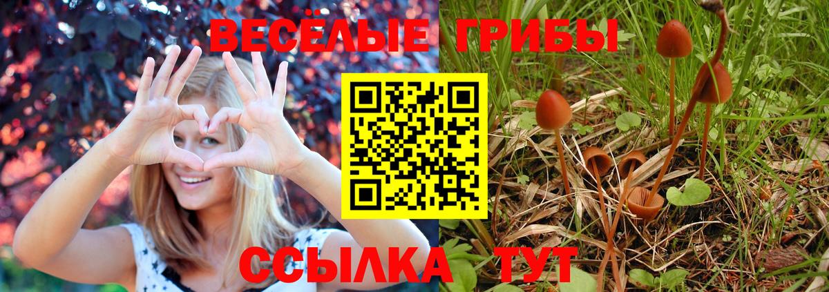 Галлюциногенные грибы Cubensis  Вход с VPN  Галлюциногенные грибы Magic Shrooms  Электрогорск 